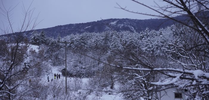 [Фото] Уште една галерија од вчерашниот снег во Скопје