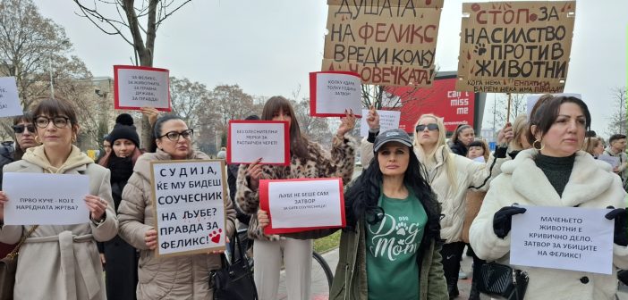 [Видео + фото] Протест пред Кривичен суд, граѓани побараа правда за Феликс и поголеми казни за мачење и убивање животни